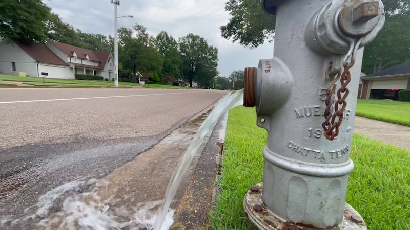 Water being flushed from a Germantown fire hydrant on July 27, 2023, after the city issued the...