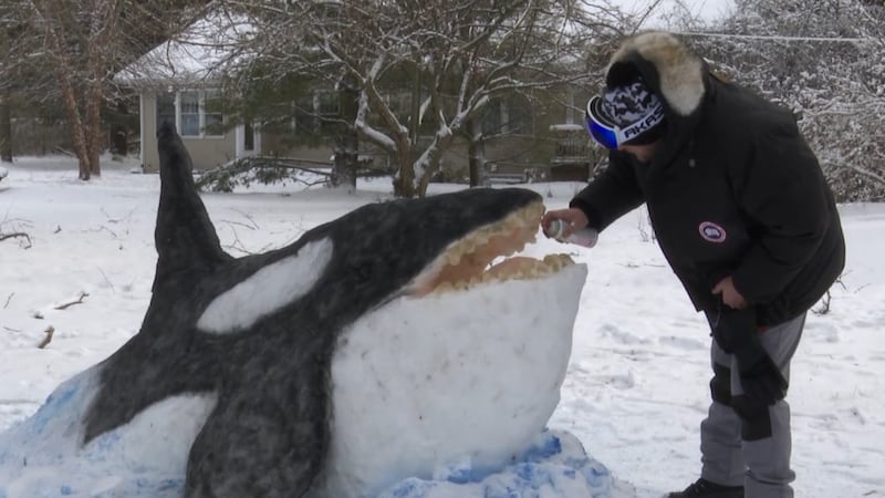 Jeffrey Kosloski Jr. spent around nine-and-a-half hours sculpting an orca out of snow.