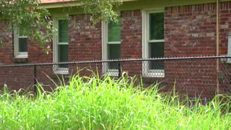 The Investigators: Memphis taxpayers foot the bill for overgrown lots