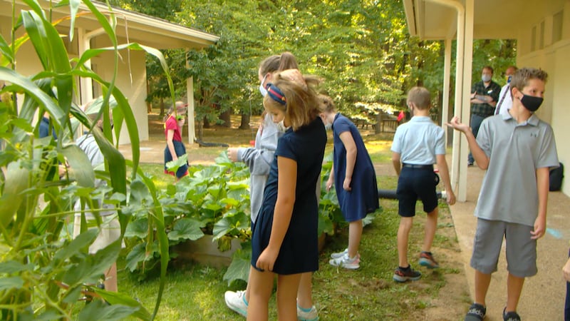 Bodine School students tend to on-campus garden.