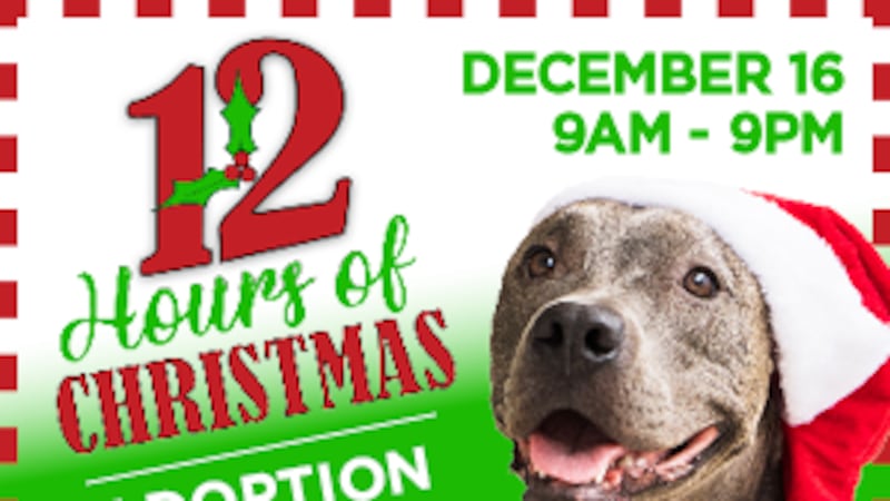 MAS to host ‘12 Hours of Christmas’ adoption event