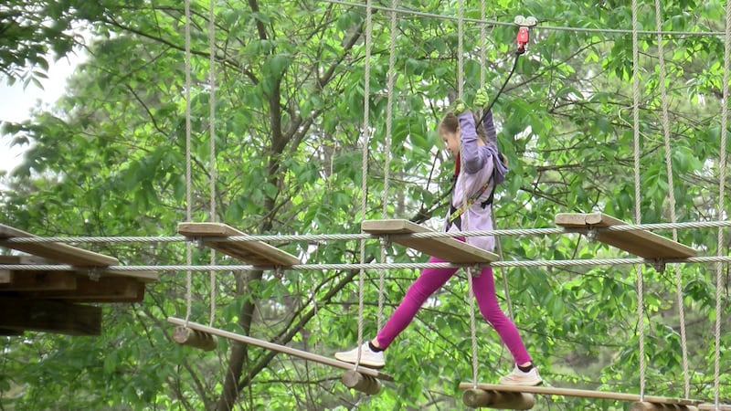 Go Ape offers many chances to climb in the trees.