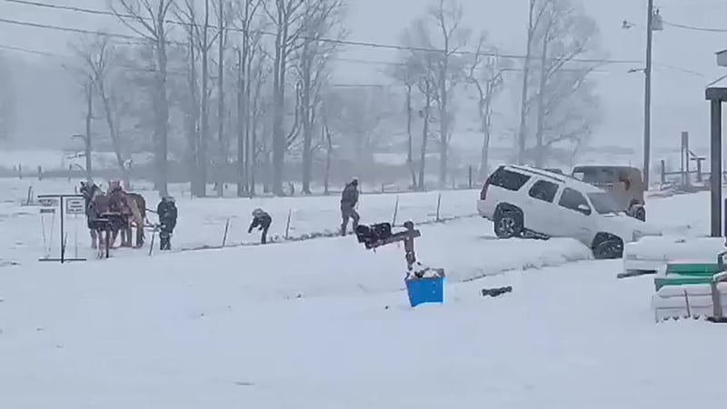 Amish man, horses help pull SUV out of snow