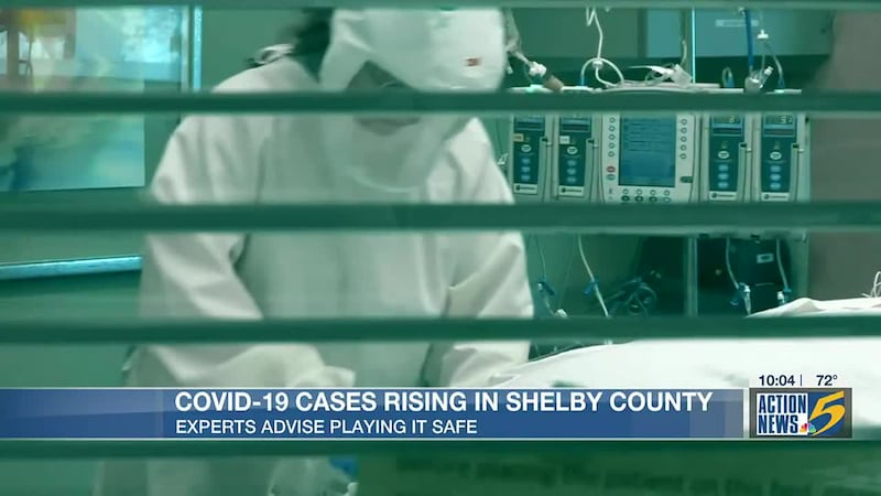COVID-19 cases rising in Shelby County