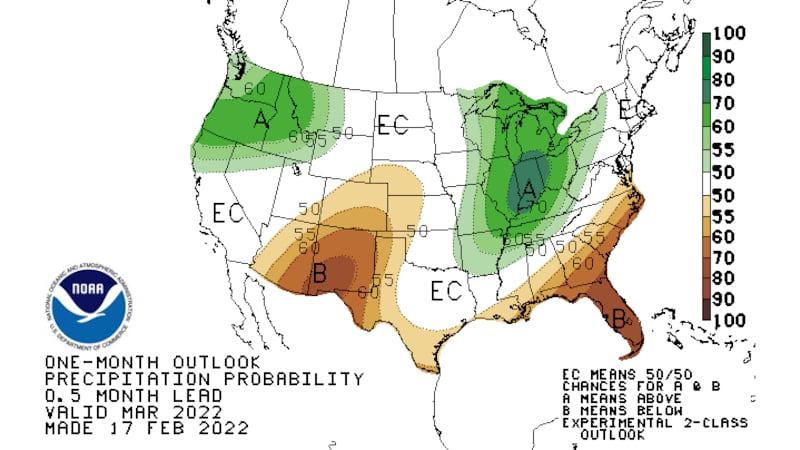 One month precipitation outlook