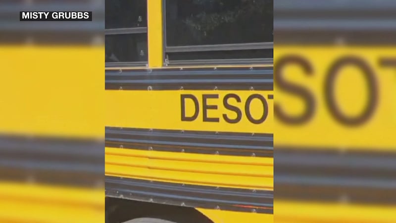 The video of the school bus