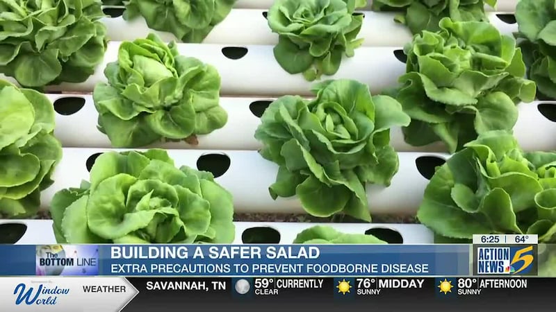Bottom Line: Safer salads