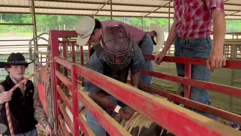 Moore Cattle Co is training some up-and-coming bull riders.