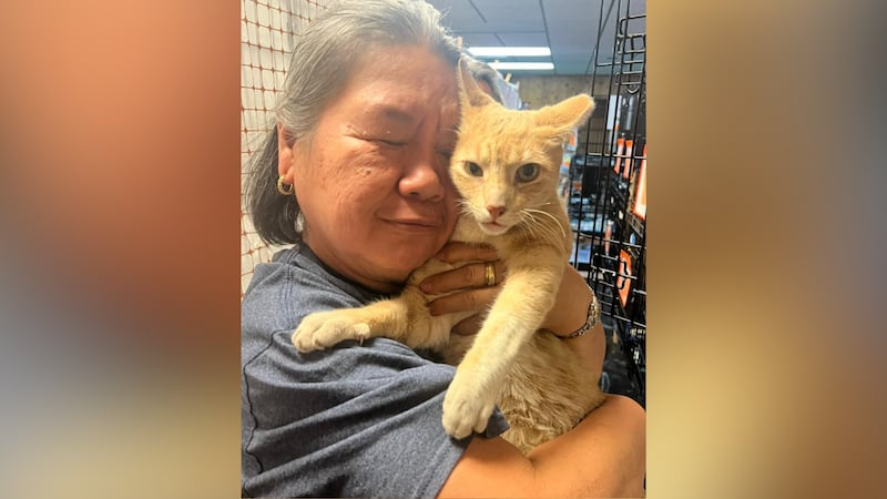 A woman has been reunited with her cat after it went missing for more than two years.