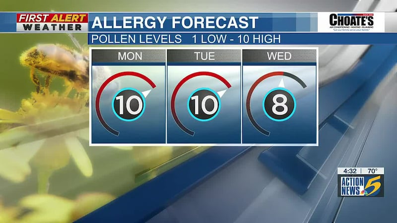 Allergy Forecast - April 17