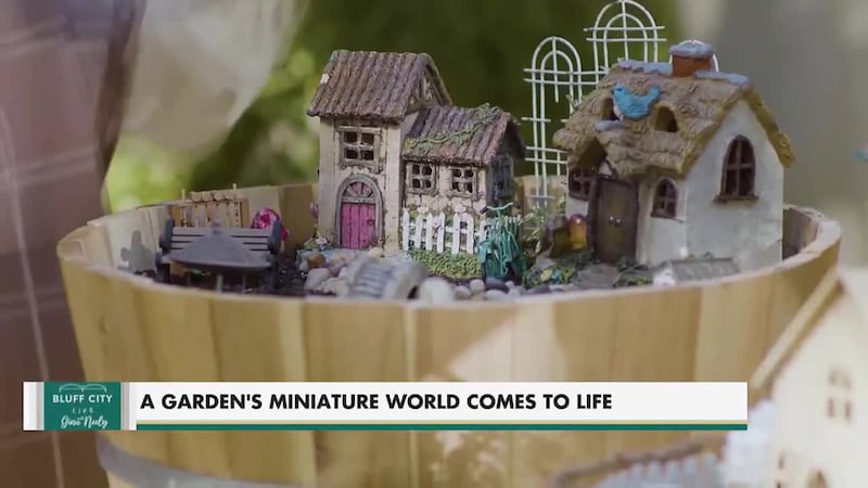 A Garden's Miniature World Comes to Life