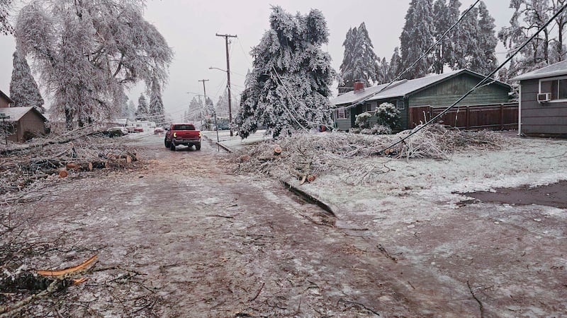 Branches and fallen trees are scattered on the road on Tuesday, Jan. 16, 2024, in Creswell,...